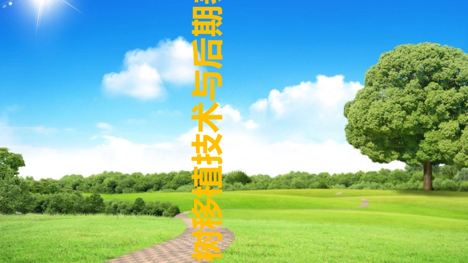 大树移植技术与后期养护_第1页