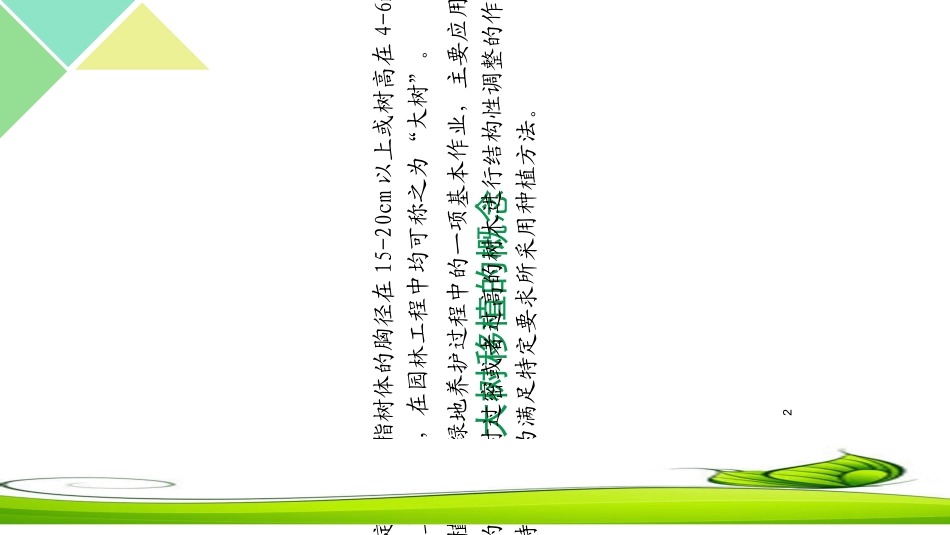 大树移植技术与后期养护_第2页