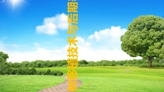 大树移植技术与后期养护