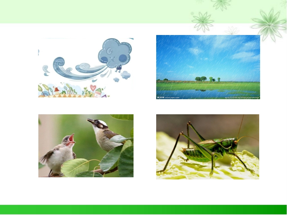 大自然的声音_第2页