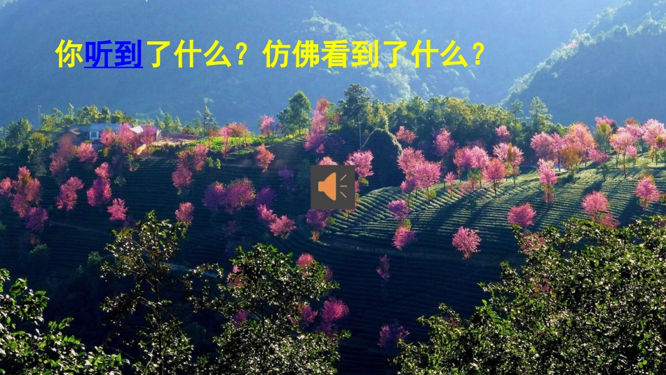 大自然的声音课件_第1页