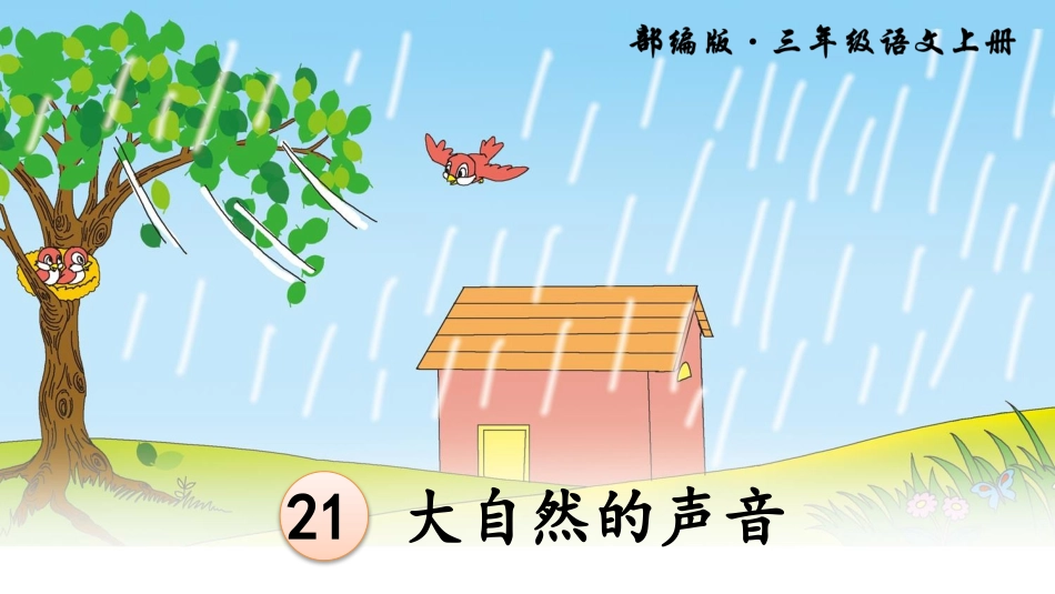 大自然的声音课件_第3页