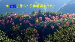 大自然的声音课件