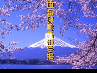 带你走进真实的日本