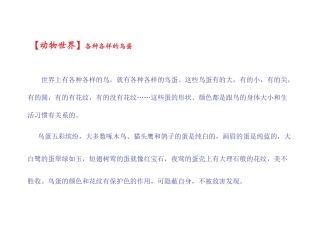 各种各样的鸟蛋