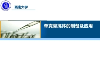 单克隆抗体的备及应用