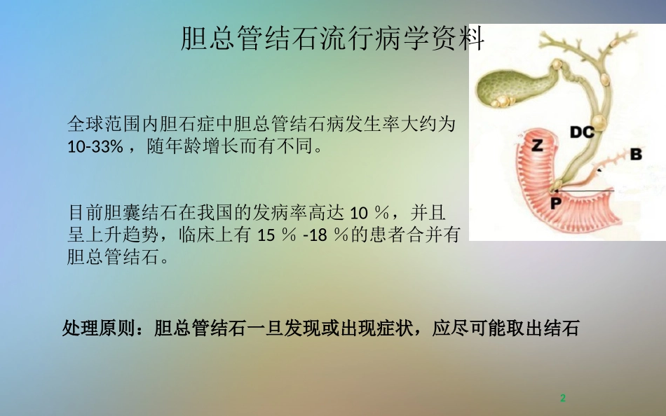 胆总管一期缝合_第2页