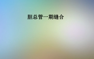 胆总管一期缝合