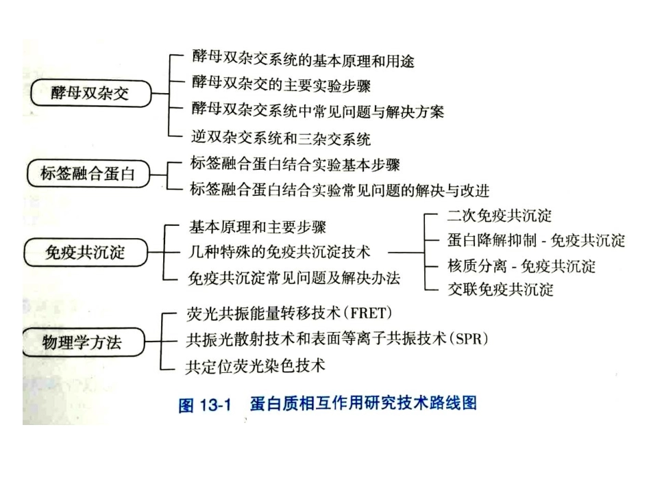 蛋白相互作用研究技术_第3页