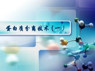 蛋白质分离技术