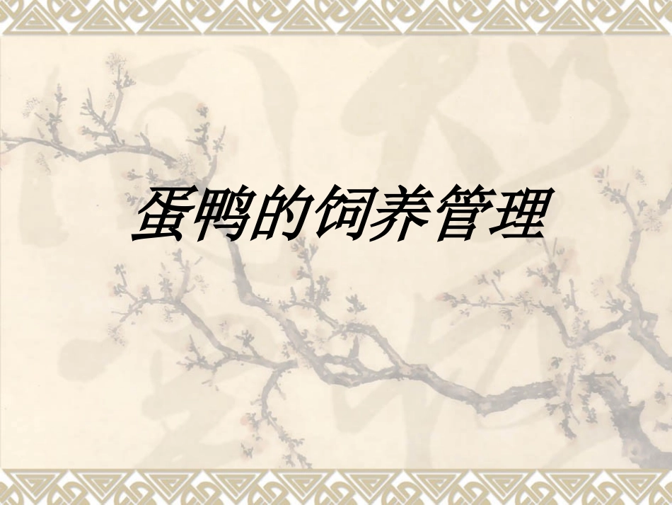 蛋鸭的饲养管理专题培训课件_第1页
