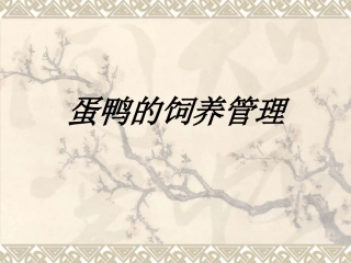 蛋鸭的饲养管理专题培训课件
