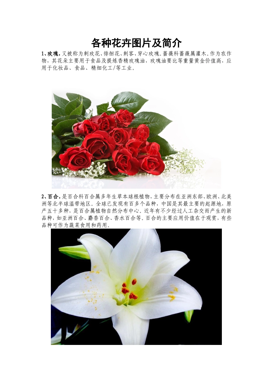 各种花卉图片及简介_第1页