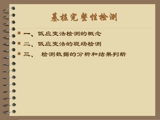 低应变检测图解教材