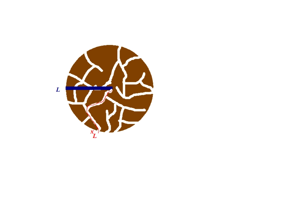 第15讲有效扩散_第2页