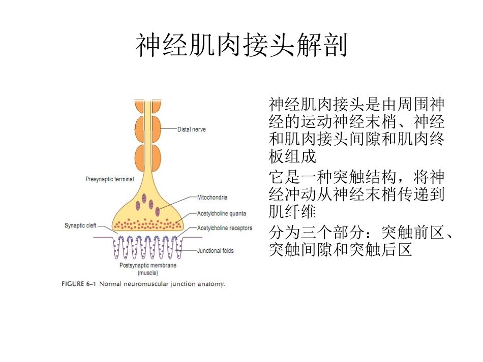 第六章重复神经电刺激_第3页