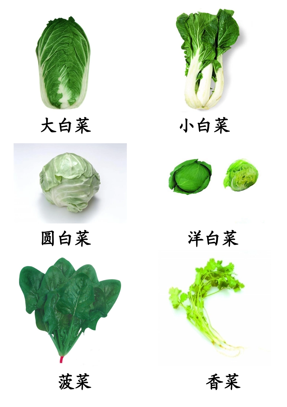各种蔬菜图片总汇_第2页