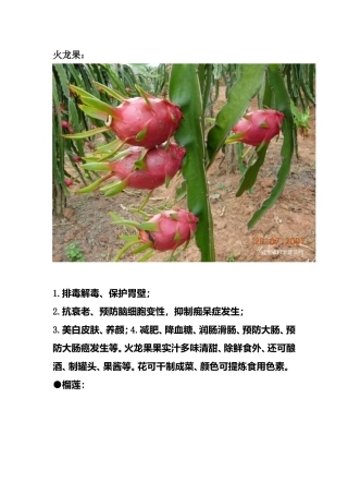 各种水果功效带图