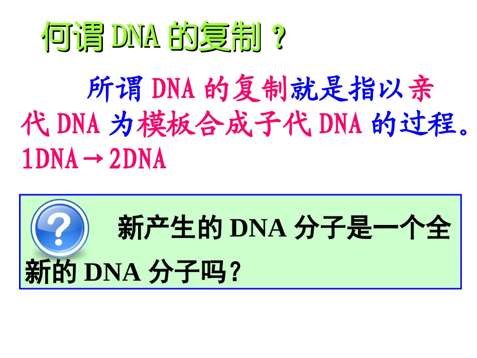 第三节DNA的复制_第3页