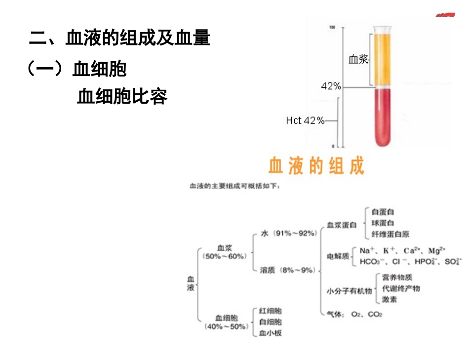 第三节生理止血血液凝固与纤维蛋白溶解_第3页