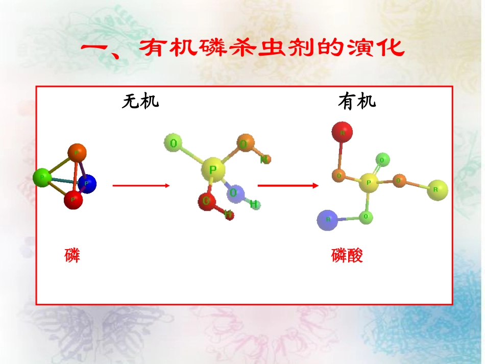 第三节有机磷杀虫剂_第2页