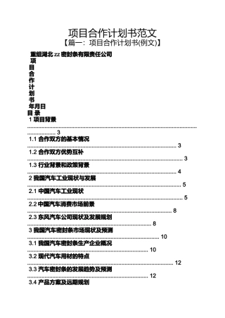 合作作文之项目合作计划书范文