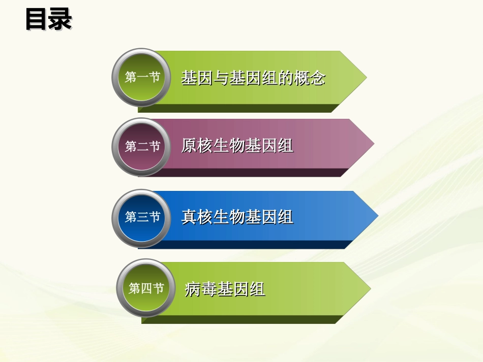 第三章基因与基因组学_第3页