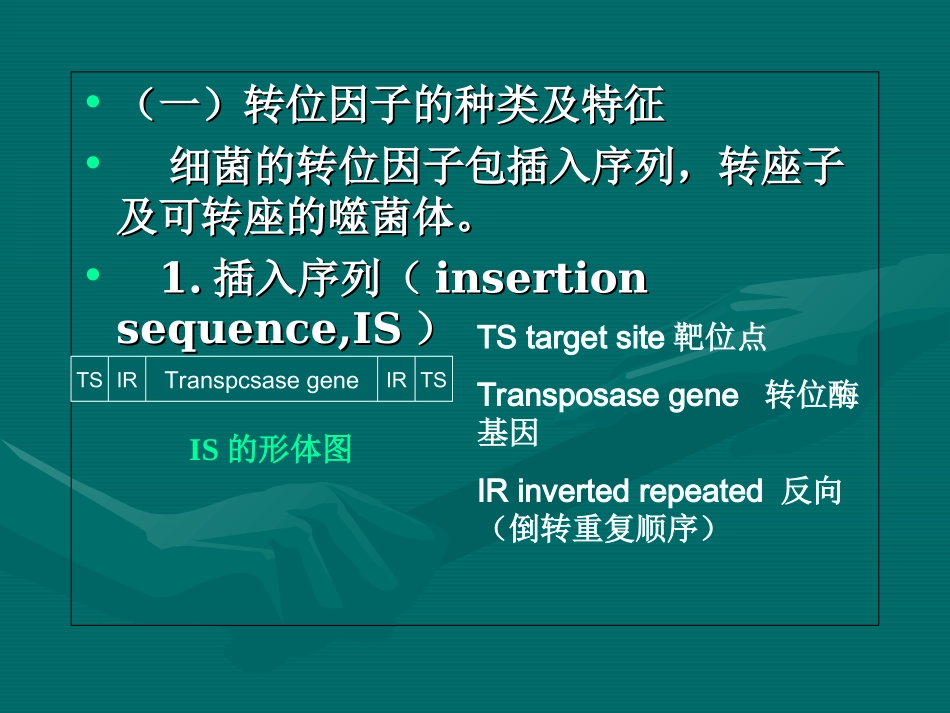 第三章可移动的遗传因子_第3页