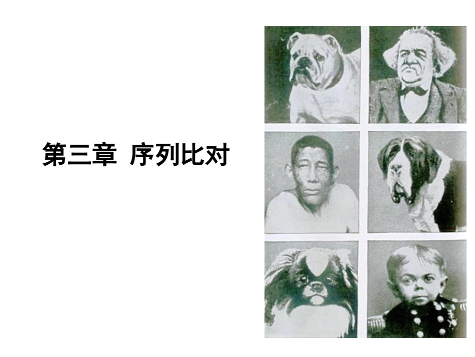 第三章序列比对_第1页