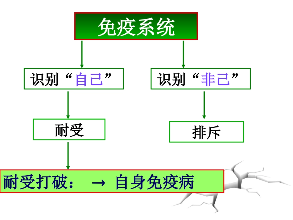 第十八章自身免疫性疾病_第2页