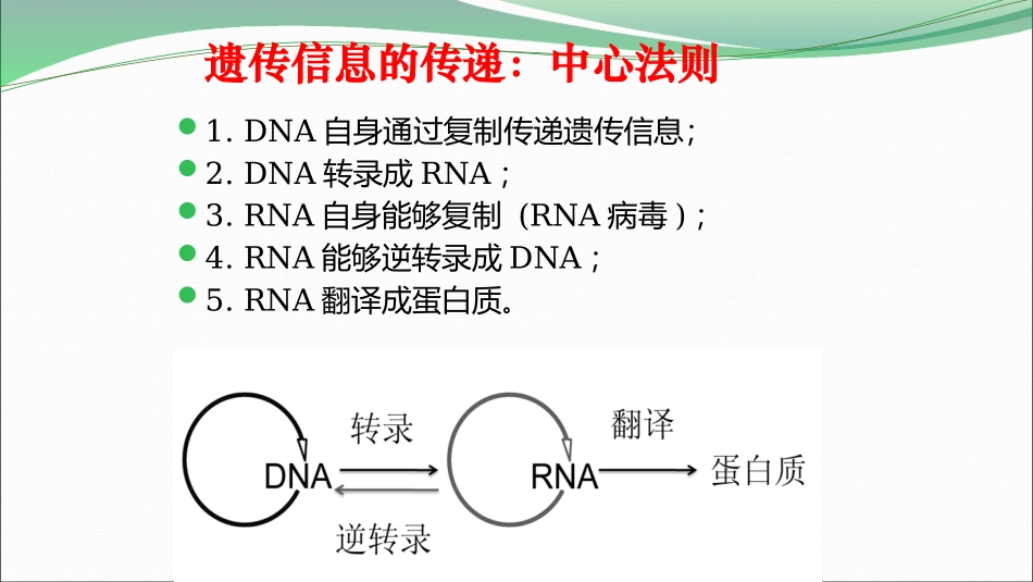 第十二章表观遗传学_第3页