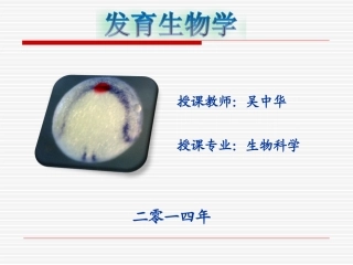 第十二章神经嵴的形成与神经系统发生分析