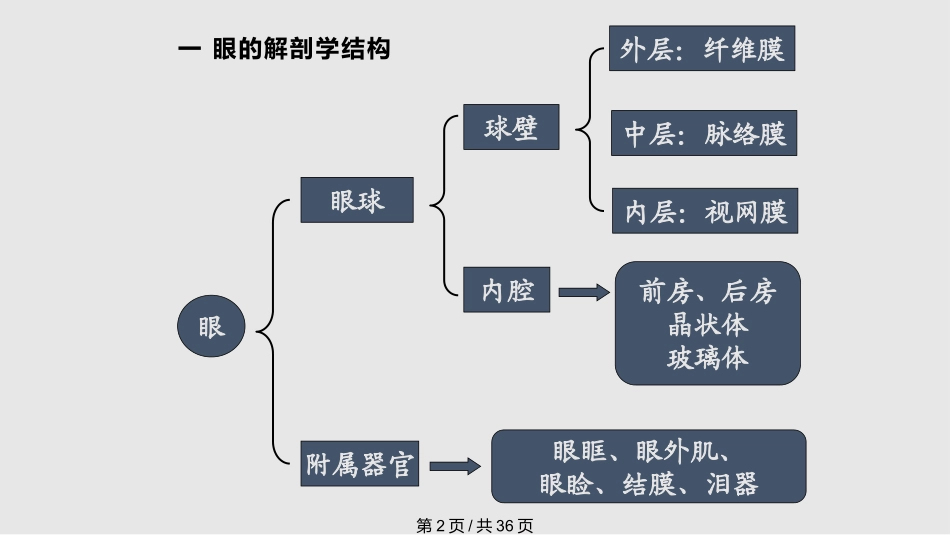 第十九章缓解视疲劳的功能性食品课件_第2页
