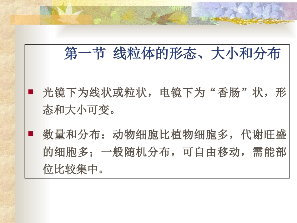 第十章线粒体与氧化磷酸化_第2页