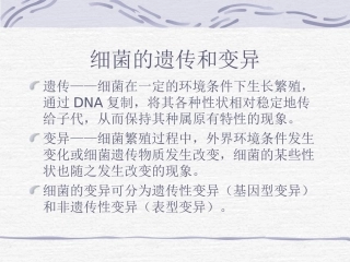 第四章细菌的遗传与变异