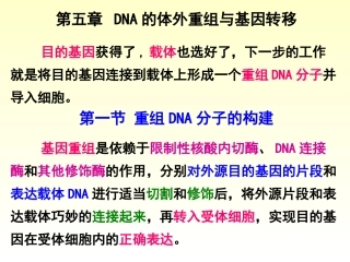 第五章DNA的体外重组与基因转移