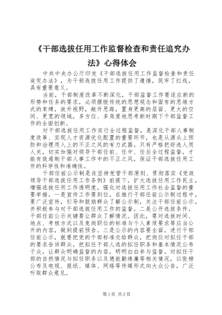 干部选拔任用工作监督检查和责任追究办法心得体会