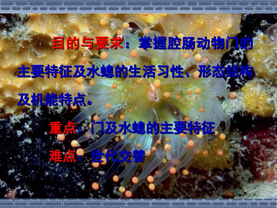 第五章腔肠动物门_第2页