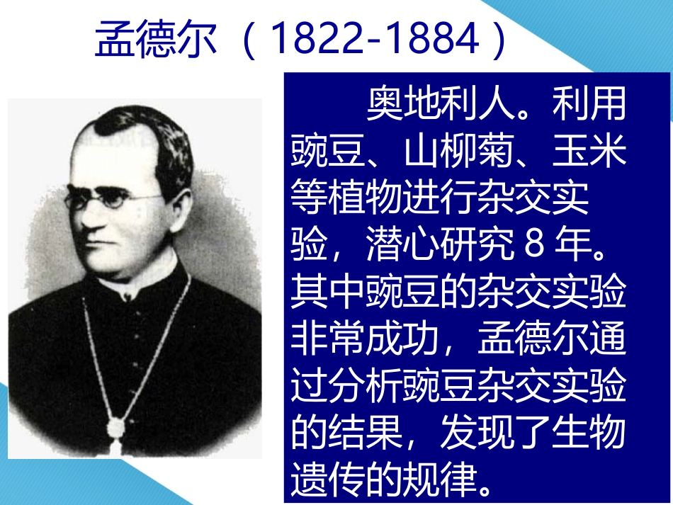 第一节孟德尔的豌豆杂交实验一_第2页