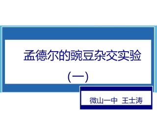 第一节孟德尔的豌豆杂交实验一