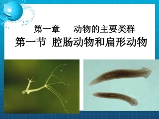 第一节腔肠动物和扁形动物