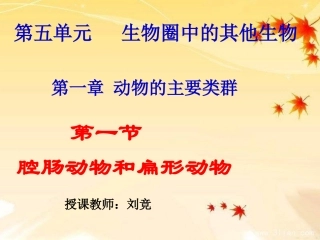 第一节腔肠动物和扁形动物课件