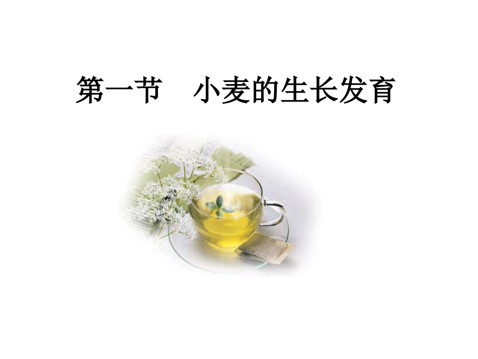第一节小麦的生长发育_第2页