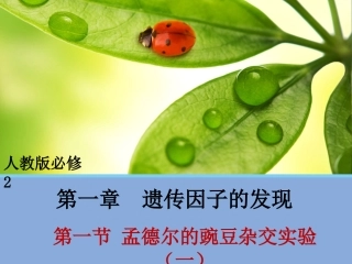 第一节遗传因子的发现