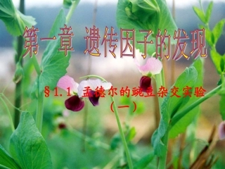 第一章遗传因子的发现整章课件