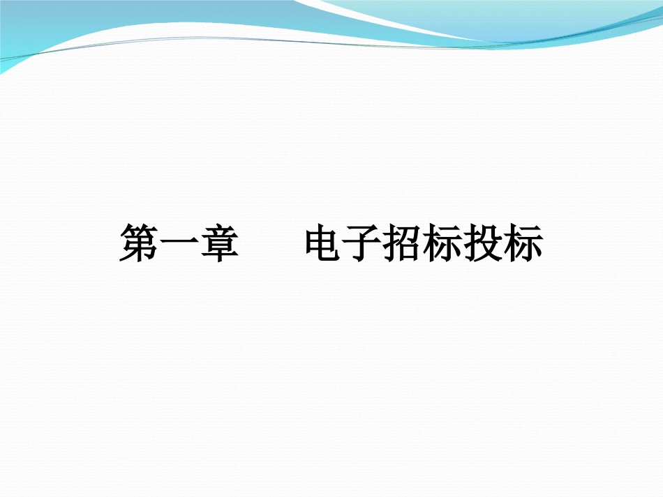 电子招标投标学习讲座_第2页