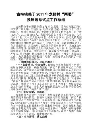 古辣镇关于龙额村“两委”换届选举试点工作总结