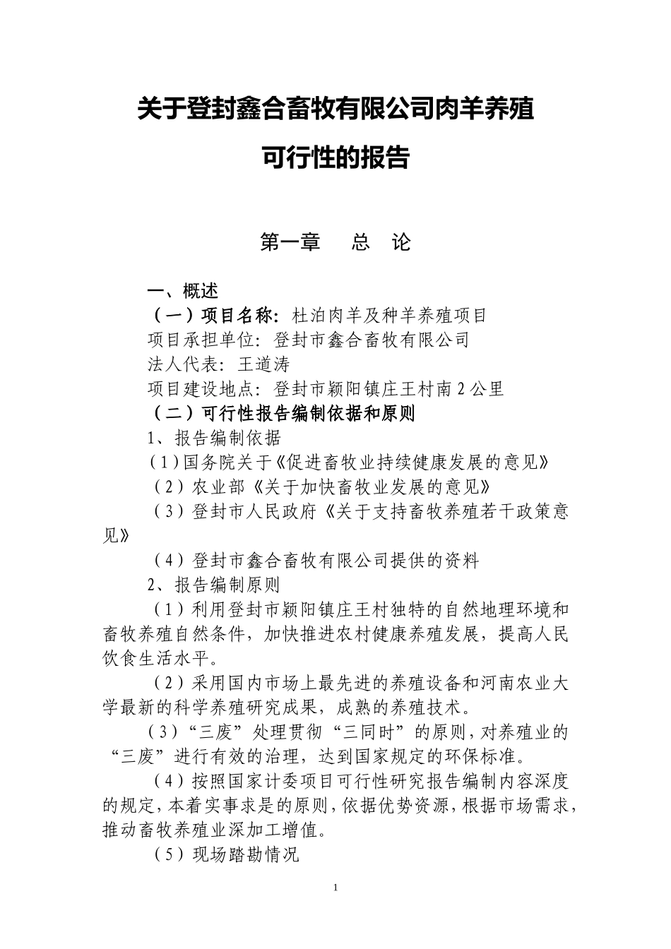 可行性研究报告1(同名13122)_第1页