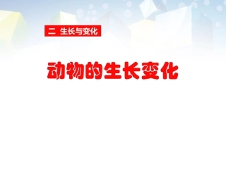 动物的生长变化生长与变化