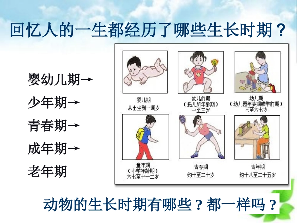 动物的生长变化生长与变化自制_第2页